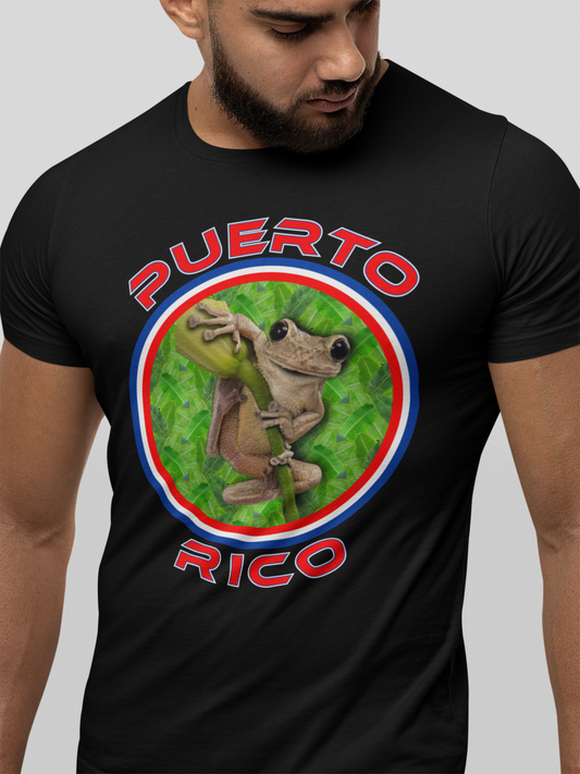 PUERTO RICO COQUI 3D
